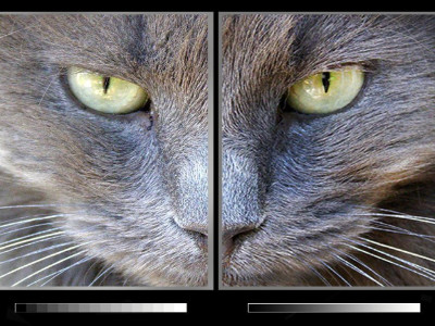 O que é o nível de cinza do display LED?